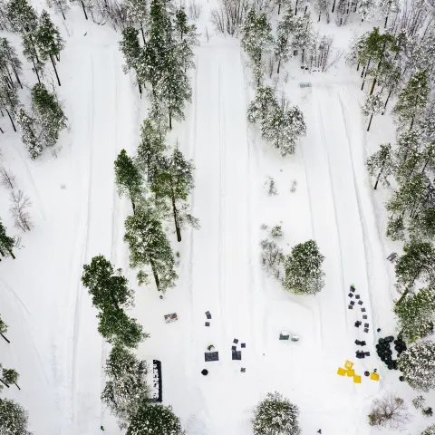 Aerial view of snow-covered forest with arranged black and yellow items.