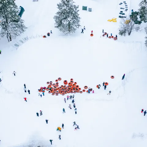 Aerial view of people tubing in a snowy forest area with scattered trees.
